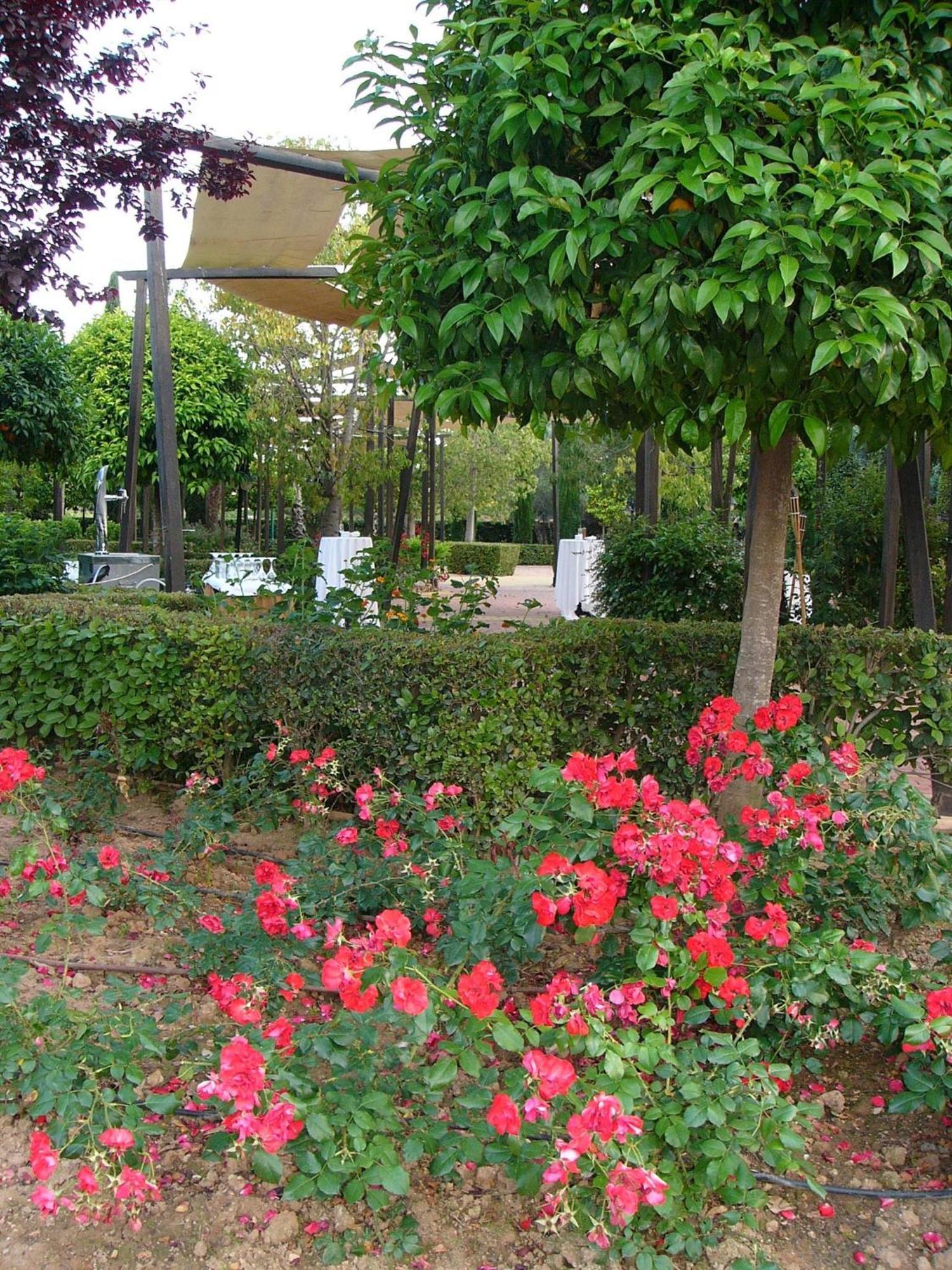 Hotel Ad Hoc Parque Bétera Exterior foto
